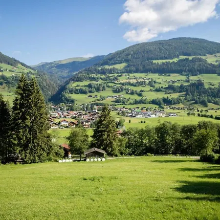 Alp-cottage For 15 Person Mountains Of Salzburg *