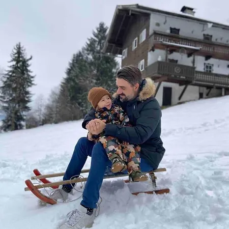 Alp-cottage For 15 Person Mountains Of Salzburg Bicheln
