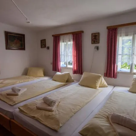 Alp-cottage For 15 Person Mountains Of Salzburg * Bicheln