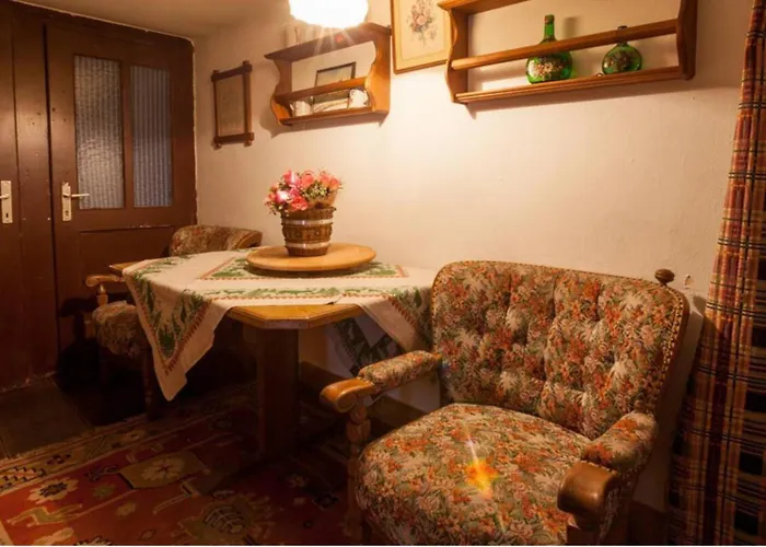 Mountain-view 15 Beds-pets Welcome Picheln